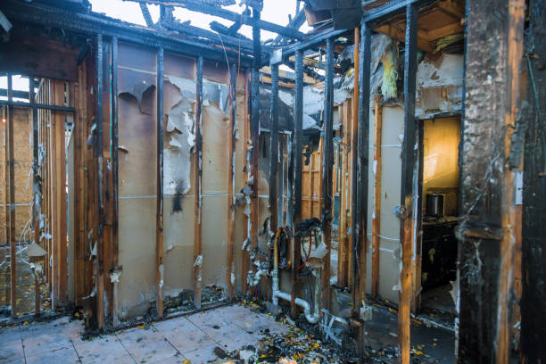 Professional Fire Damage Repair technician working in Colona, IL
